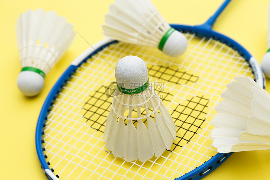 队中的领袖 队中的领袖