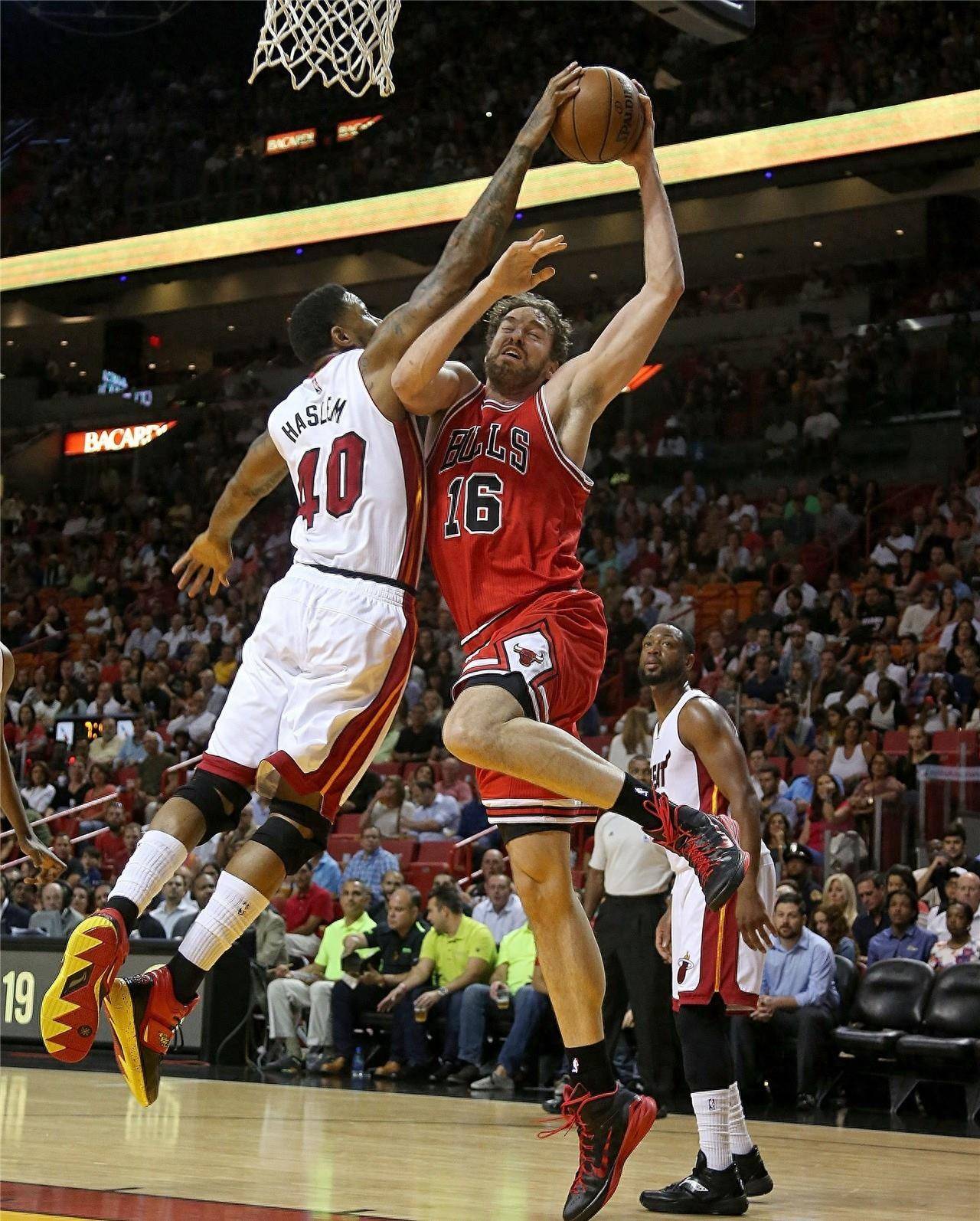 回到家族起 回到家族起