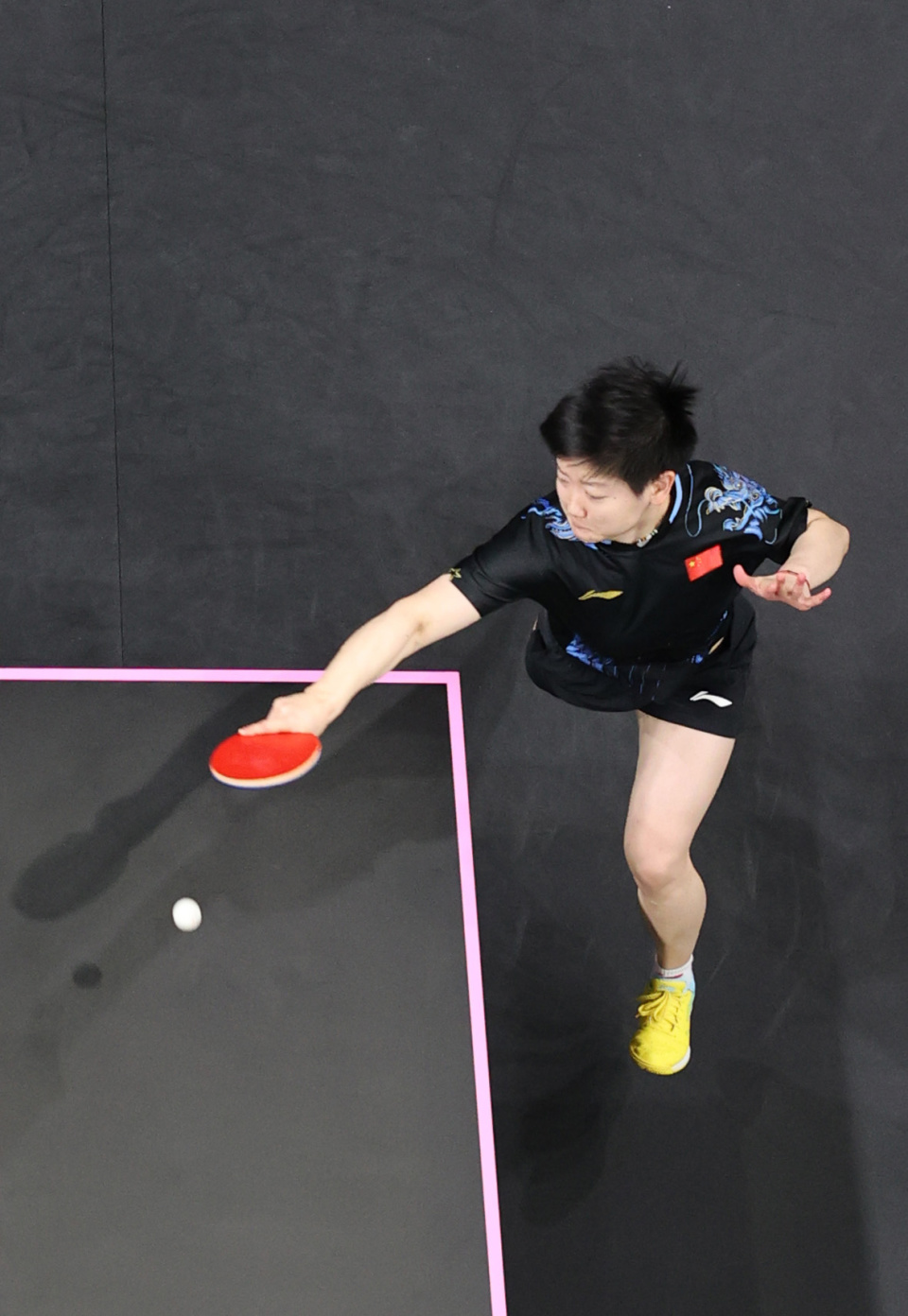 郑加恒并没 郑加恒并没