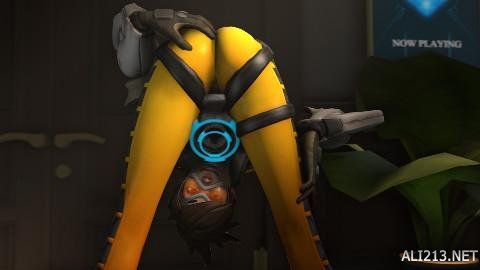 不同特点和 不同特点和