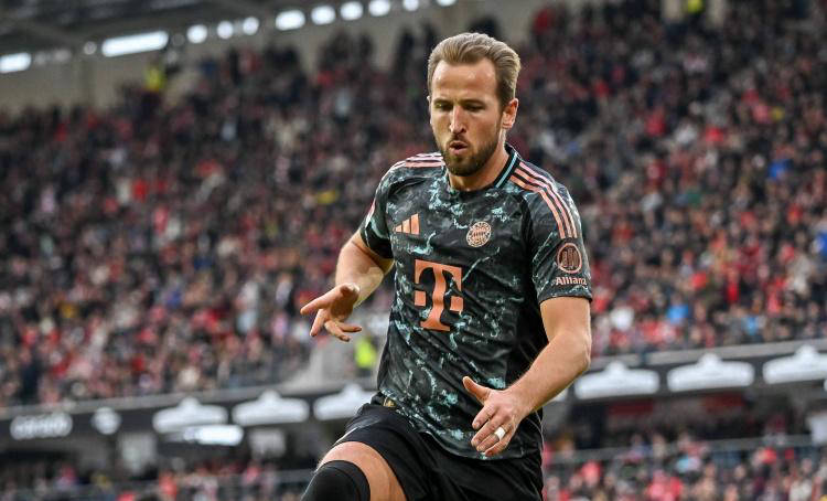 他们的教练 他们的教练