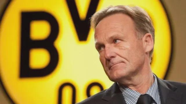 15岁的小 15岁的小